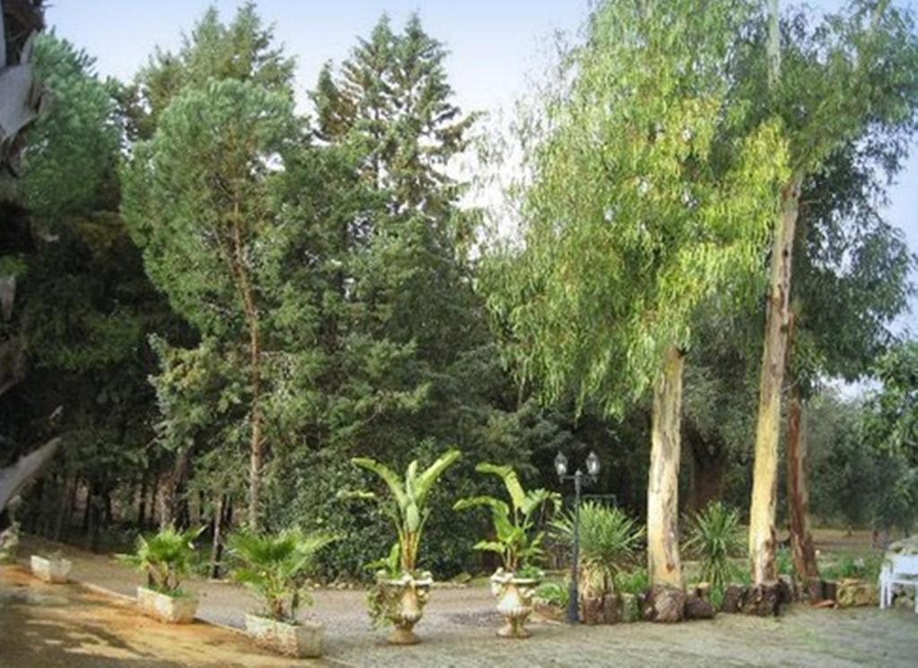 Villa Mado Ceglie Messapica Luaran gambar